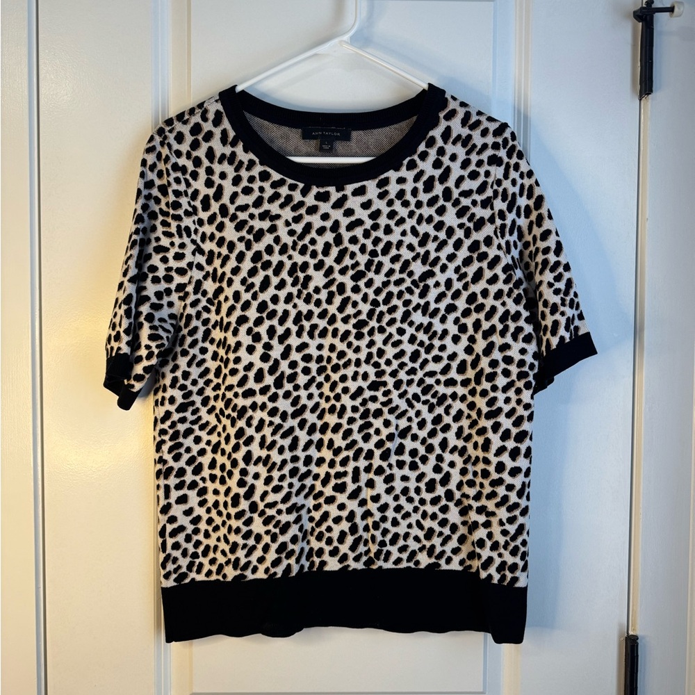 Ann Taylor Sweater Blouse